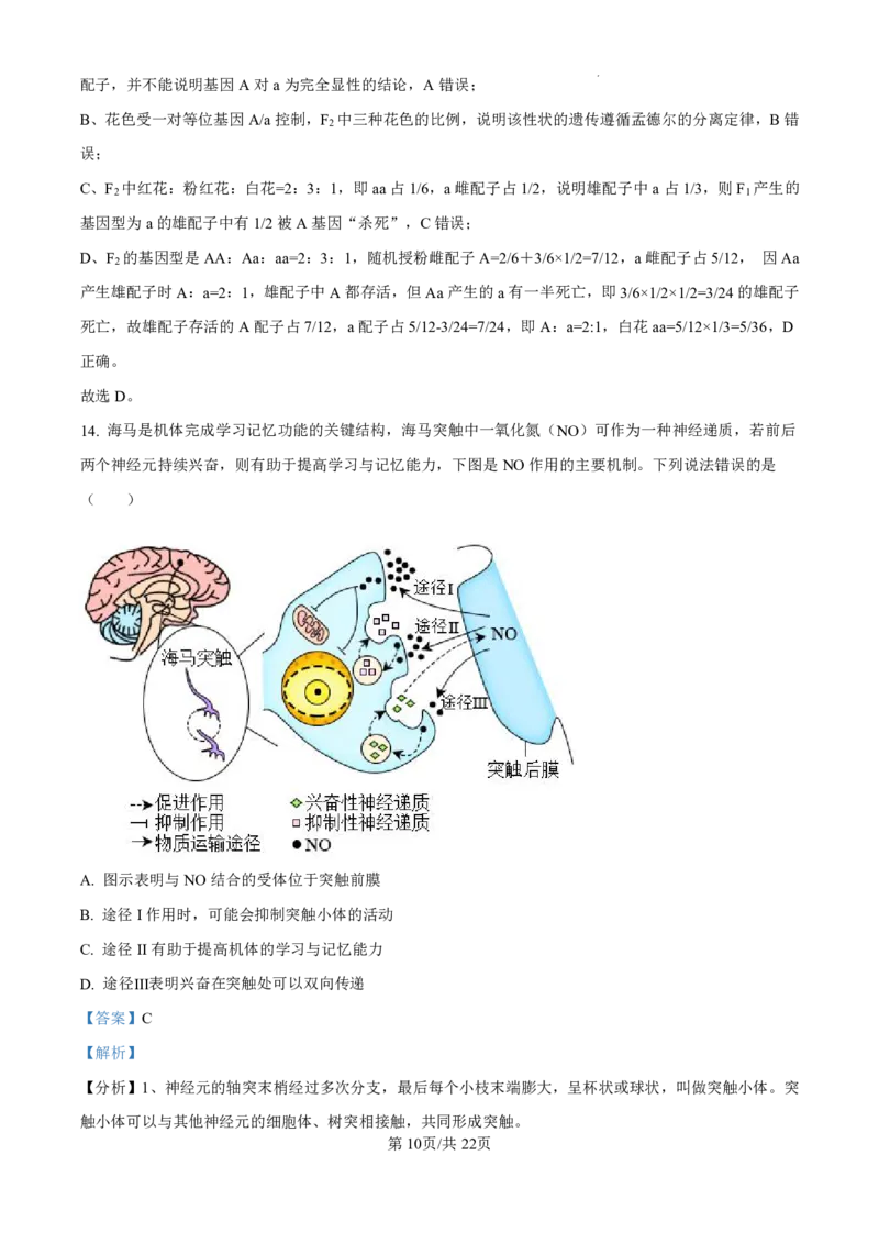 精品解析：广东省珠海市2024-2025学年高三上学期第一次摸底考试生物试题（解析版）_2024-2025高三（6-6月题库）_2024年10月试卷_1007广东省珠海市2024-2025学年高三上学期第一次摸底考试