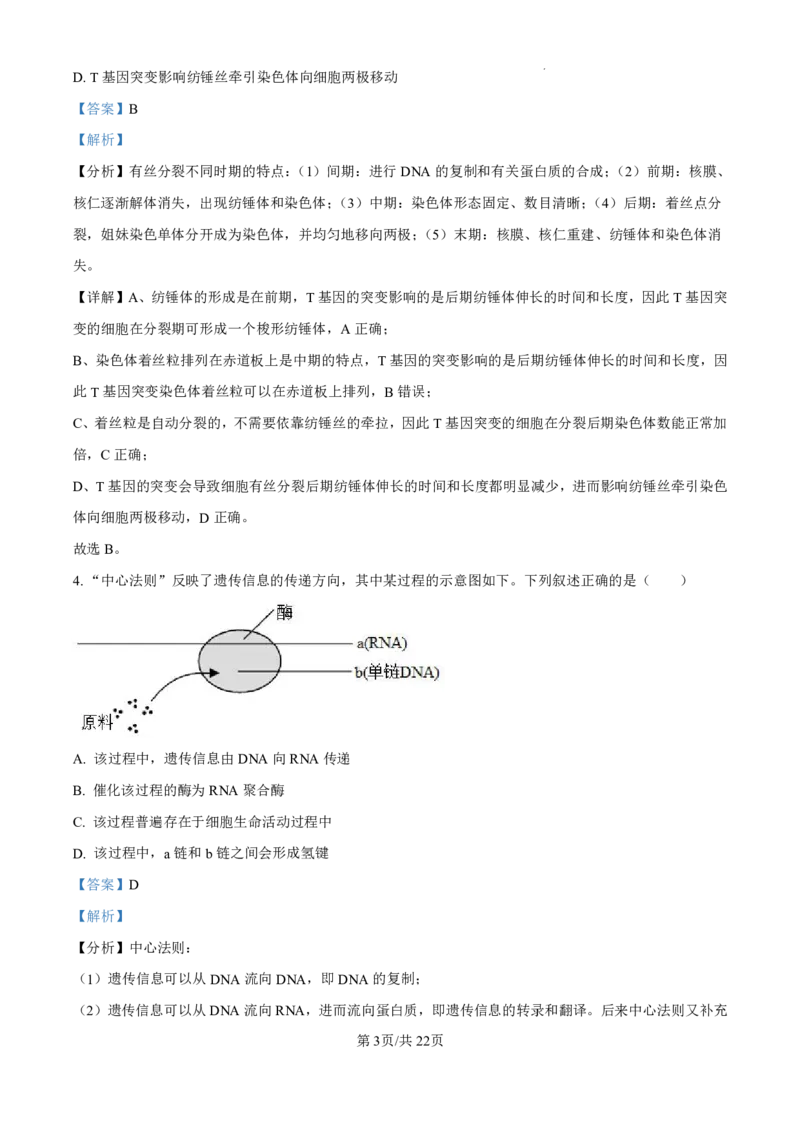 精品解析：广东省珠海市2024-2025学年高三上学期第一次摸底考试生物试题（解析版）_2024-2025高三（6-6月题库）_2024年10月试卷_1007广东省珠海市2024-2025学年高三上学期第一次摸底考试