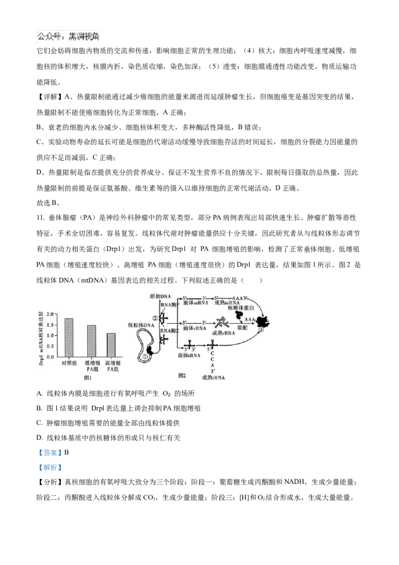 安徽省合肥一六八中学2025届高三上学期10月段考生物Word版含解析_2024-2026高三（6-6月题库）_2024年11月试卷_1101安徽省合肥一六八中学2025届高三上学期10月段考