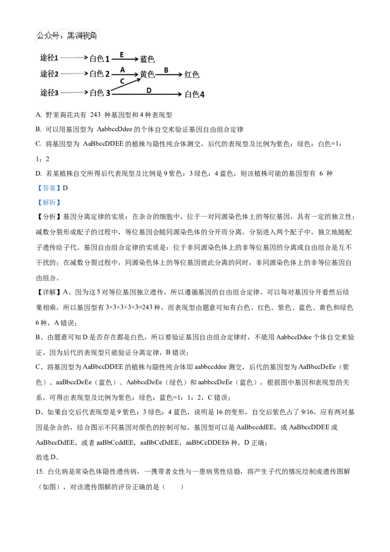 安徽省合肥一六八中学2025届高三上学期10月段考生物Word版含解析_2024-2026高三（6-6月题库）_2024年11月试卷_1101安徽省合肥一六八中学2025届高三上学期10月段考