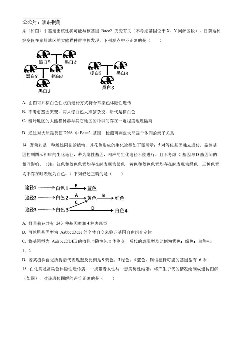 安徽省合肥一六八中学2025届高三上学期10月段考生物Word版含解析_2024-2026高三（6-6月题库）_2024年11月试卷_1101安徽省合肥一六八中学2025届高三上学期10月段考