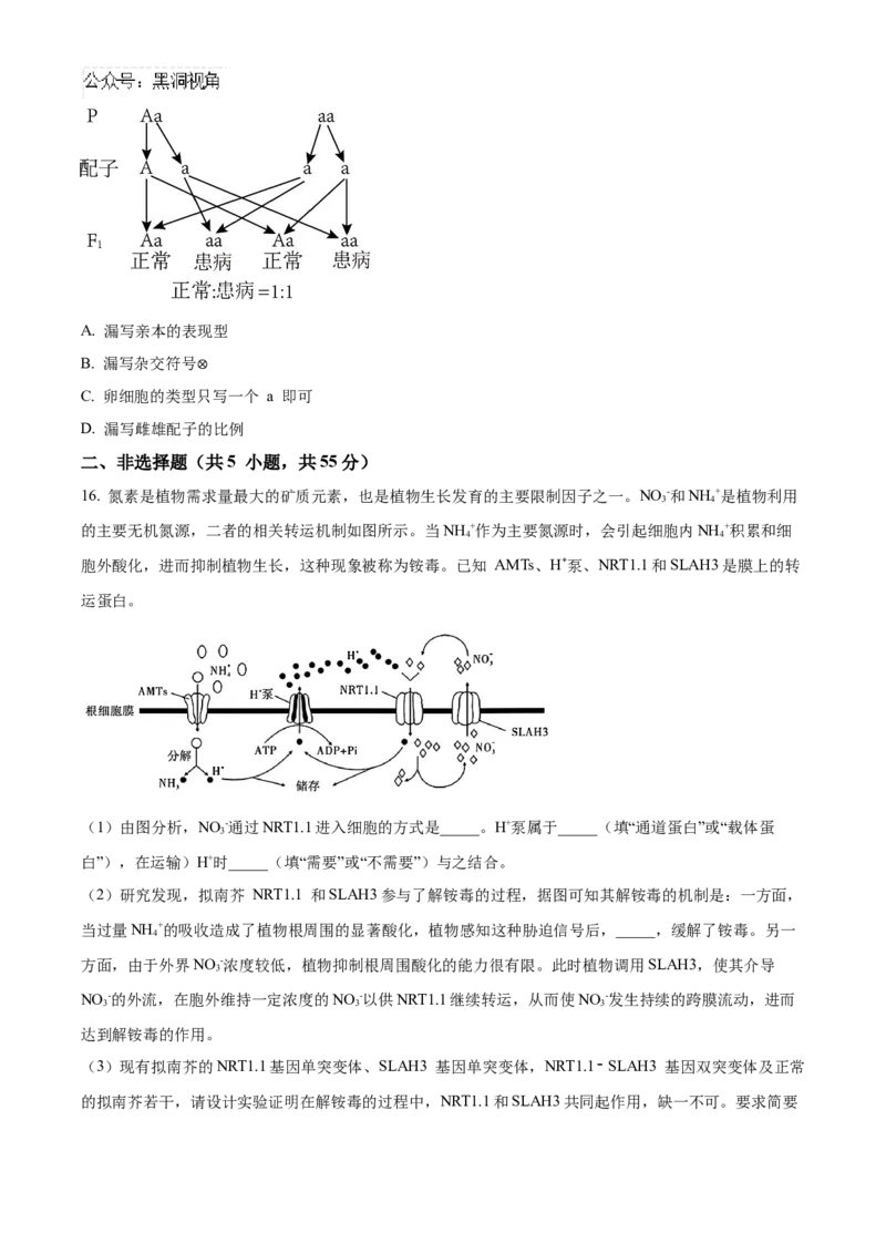 安徽省合肥一六八中学2025届高三上学期10月段考生物Word版含解析_2024-2026高三（6-6月题库）_2024年11月试卷_1101安徽省合肥一六八中学2025届高三上学期10月段考