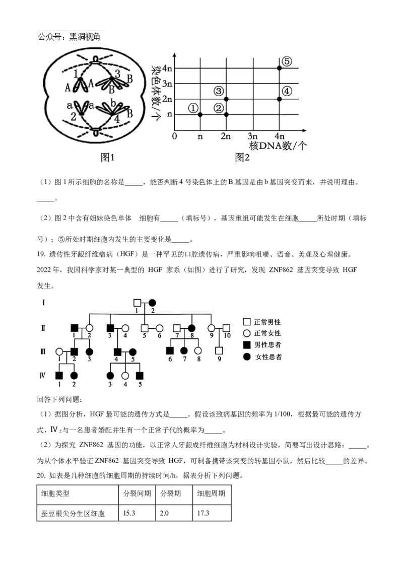 安徽省合肥一六八中学2025届高三上学期10月段考生物Word版含解析_2024-2026高三（6-6月题库）_2024年11月试卷_1101安徽省合肥一六八中学2025届高三上学期10月段考
