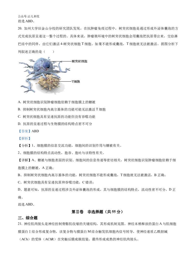 辽宁省沈阳市沈阳市郊联体2024-2025学年高二上学期11月期中生物试题Word版含解析_2024-2025高二（7-7月题库）_2024年11月试卷