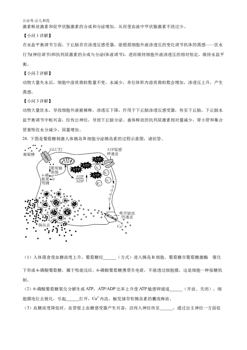 辽宁省沈阳市沈阳市郊联体2024-2025学年高二上学期11月期中生物试题Word版含解析_2024-2025高二（7-7月题库）_2024年11月试卷