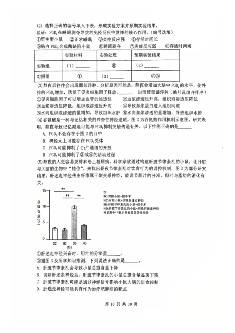 辽宁省沈阳市东北育才学校2025-2026学年高二上学期期中考试生物试卷_251201辽宁省沈阳市东北育才学校高中2025-2026学年高二上学期期中考试