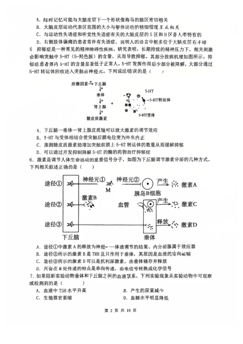辽宁省沈阳市东北育才学校2025-2026学年高二上学期期中考试生物试卷_251201辽宁省沈阳市东北育才学校高中2025-2026学年高二上学期期中考试