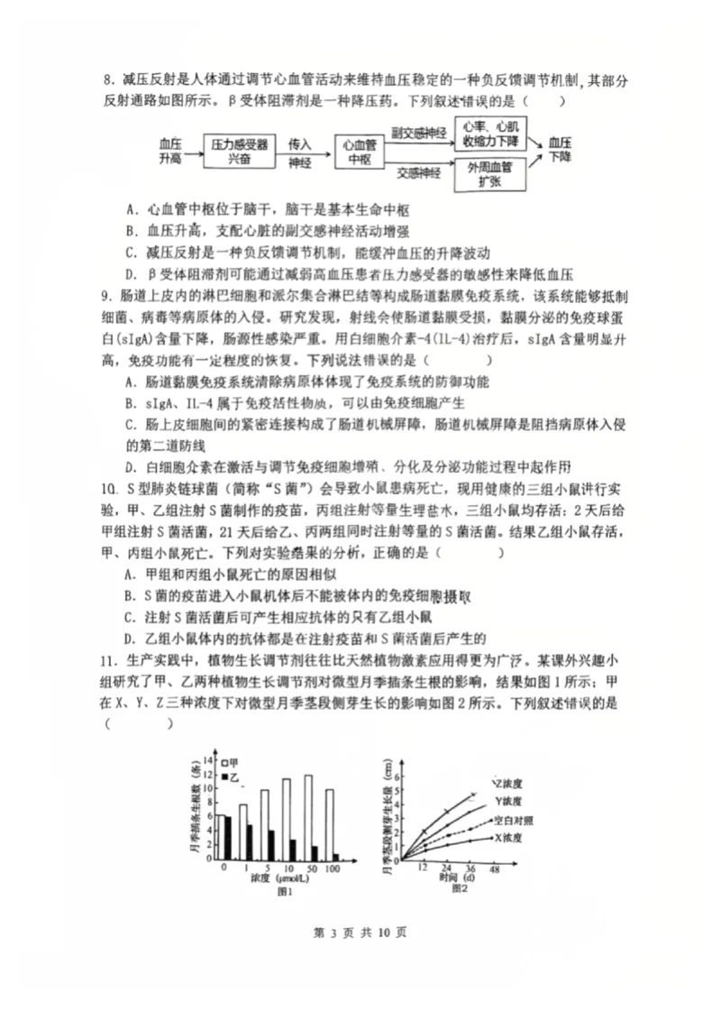 辽宁省沈阳市东北育才学校2025-2026学年高二上学期期中考试生物试卷_251201辽宁省沈阳市东北育才学校高中2025-2026学年高二上学期期中考试