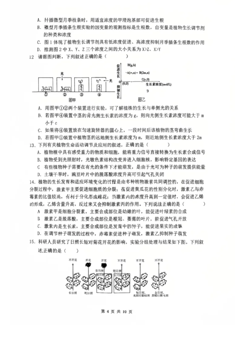 辽宁省沈阳市东北育才学校2025-2026学年高二上学期期中考试生物试卷_251201辽宁省沈阳市东北育才学校高中2025-2026学年高二上学期期中考试