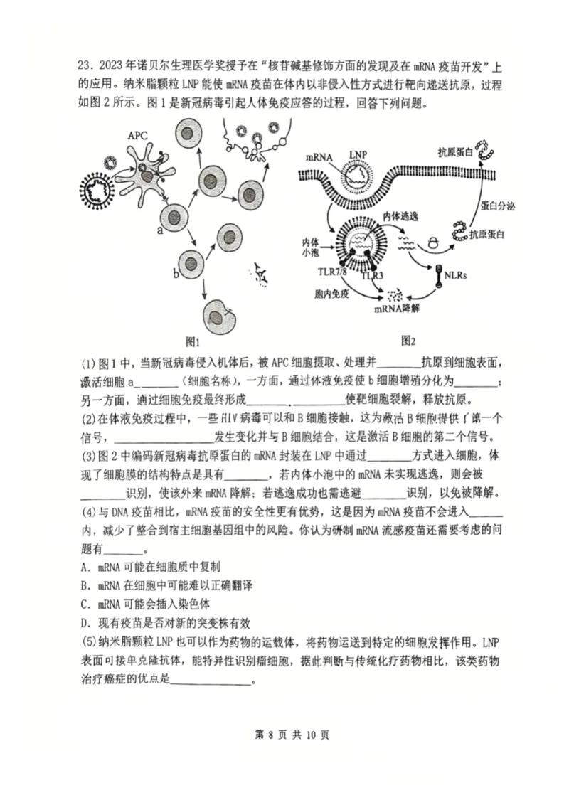 辽宁省沈阳市东北育才学校2025-2026学年高二上学期期中考试生物试卷_251201辽宁省沈阳市东北育才学校高中2025-2026学年高二上学期期中考试