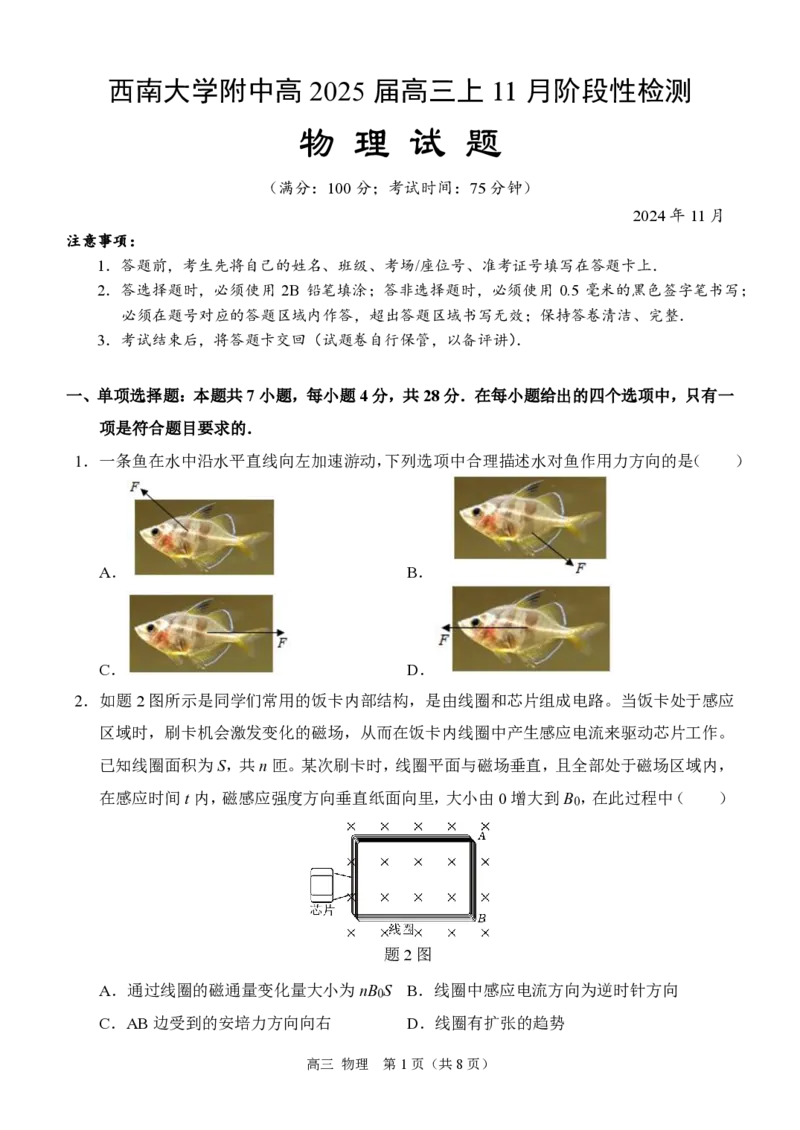 物理高三（定）_2024-2025高三（6-6月题库）_2024年12月试卷_1204重庆市西南大学附属中学校2024-2025学年高三上学期11月阶段性检测（二）