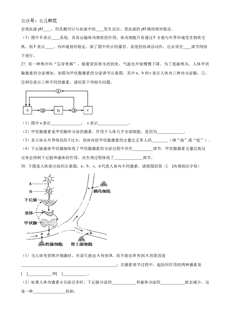 甘肃省武威市凉州区2024-2025学年高二上学期期中质量检测生物试卷Word版无答案_2024-2025高二（7-7月题库）_2024年12月试卷_1204甘肃省武威市凉州区2024-2025学年高二上学期期中质量检测