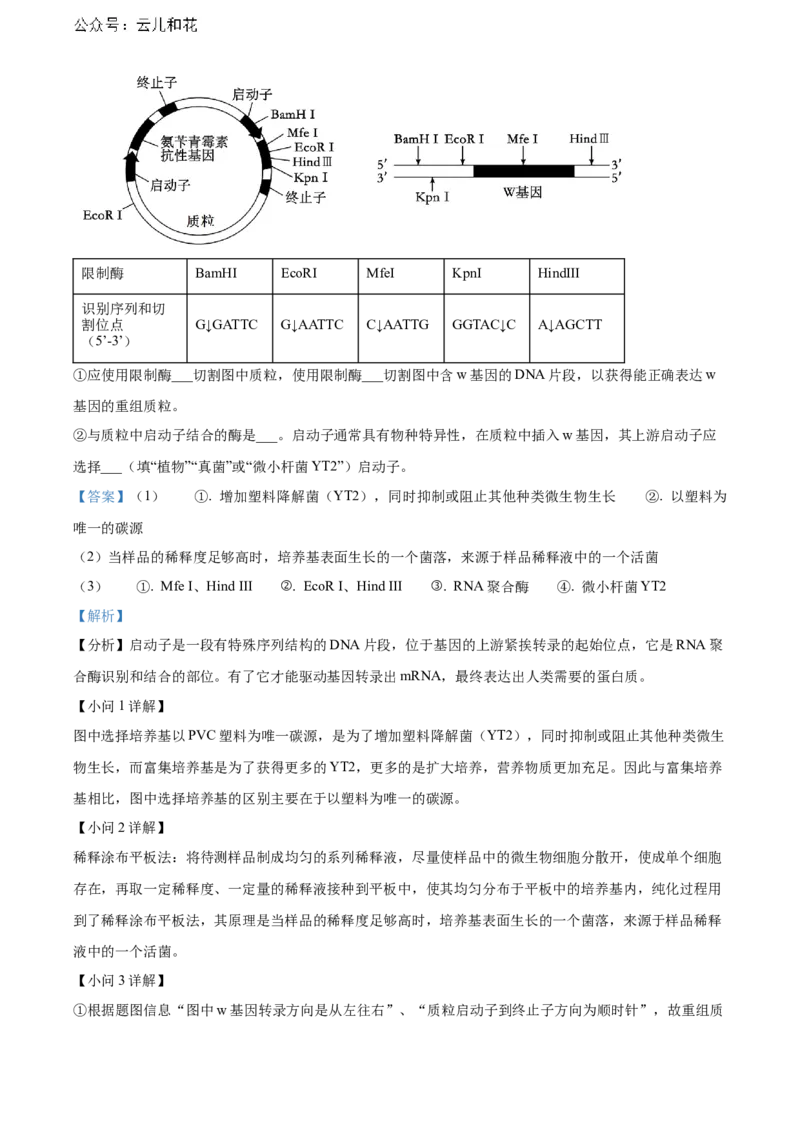重庆市万州区2023-2024学年高二下学期7月期末考试生物Word版含解析_2024-2025高二（7-7月题库）_2024年07月试卷_0726重庆市万州区2023-2024学年高二下学期7月期末考试