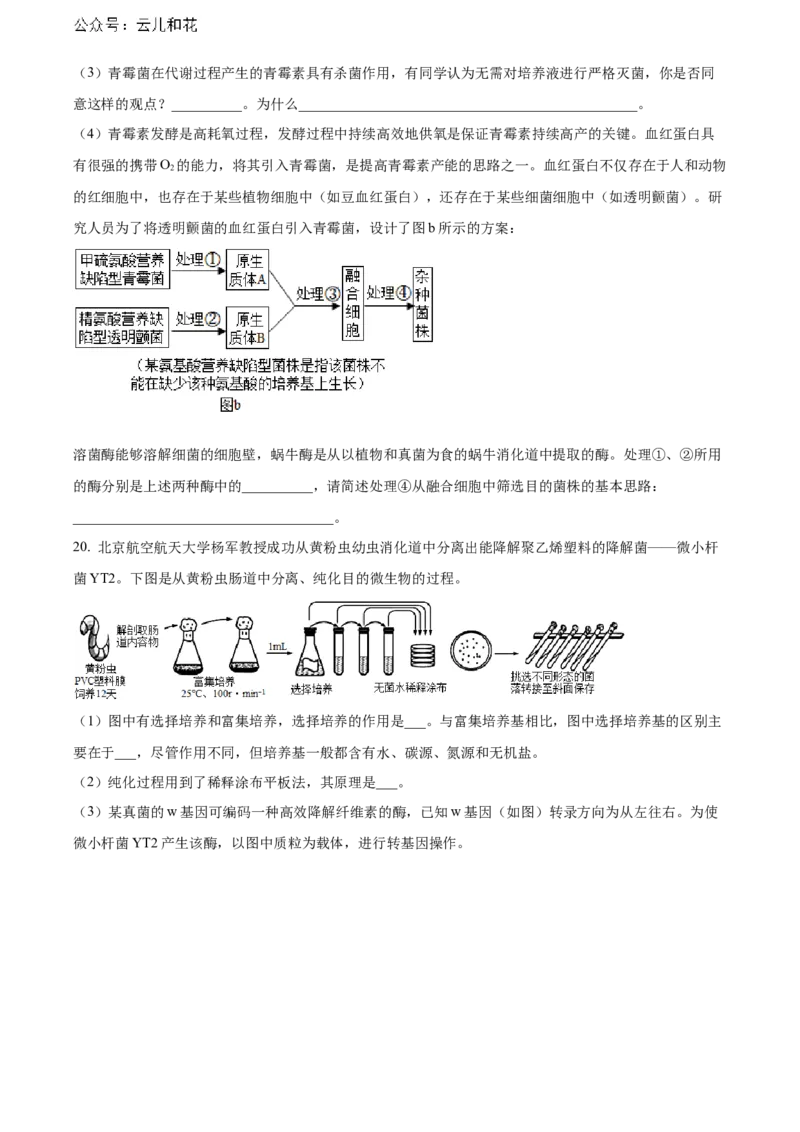重庆市万州区2023-2024学年高二下学期7月期末考试生物Word版含解析_2024-2025高二（7-7月题库）_2024年07月试卷_0726重庆市万州区2023-2024学年高二下学期7月期末考试