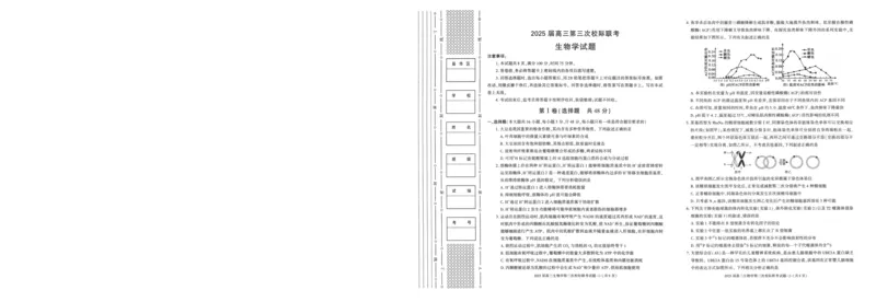 陕西省汉中市部分学校2024-2025学年高三上学期12月联考生物+答案_2024-2025高三（6-6月题库）_2024年12月试卷_1217陕西省汉中市部分学校2025届高三上学期12月第三次校际联考