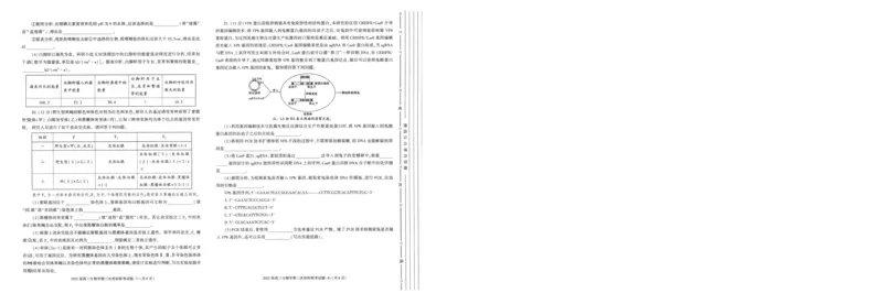 陕西省汉中市部分学校2024-2025学年高三上学期12月联考生物+答案_2024-2025高三（6-6月题库）_2024年12月试卷_1217陕西省汉中市部分学校2025届高三上学期12月第三次校际联考