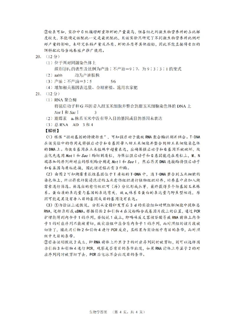 湖南省长郡中学2024-2025学年高三上学期第一次调研考试生物试题答案_2024-2025高三（6-6月题库）_2024年09月试卷_0921湖南省长郡中学2024-2025学年高三上学期第一次调研考试