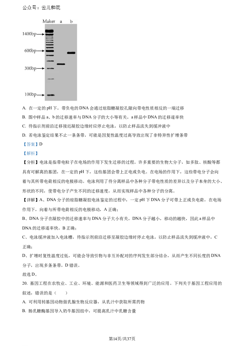精品解析：黑龙江省哈师大附中和大庆铁人中学2023&mdash;2024学年高二下学期期末联考生物试题（解析版）_2024-2025高二（7-7月题库）_2024年07月试卷