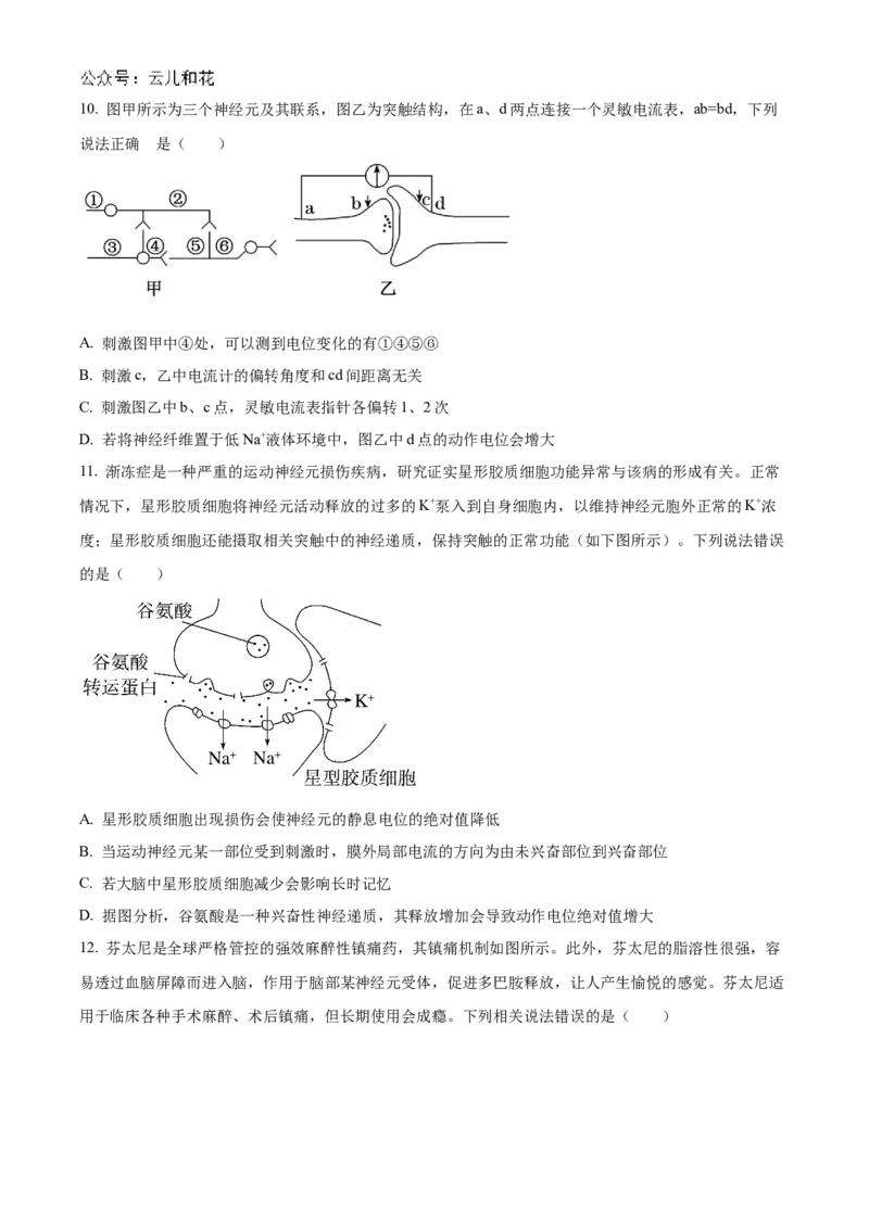 福建省福州市9校2024-2025学年高二上学期11月期中生物试题Word版无答案_2024-2025高二（7-7月题库）_2024年12月试卷_1206福建省福州市福九联盟2024-2025学年高二上学期11月期中联考试题
