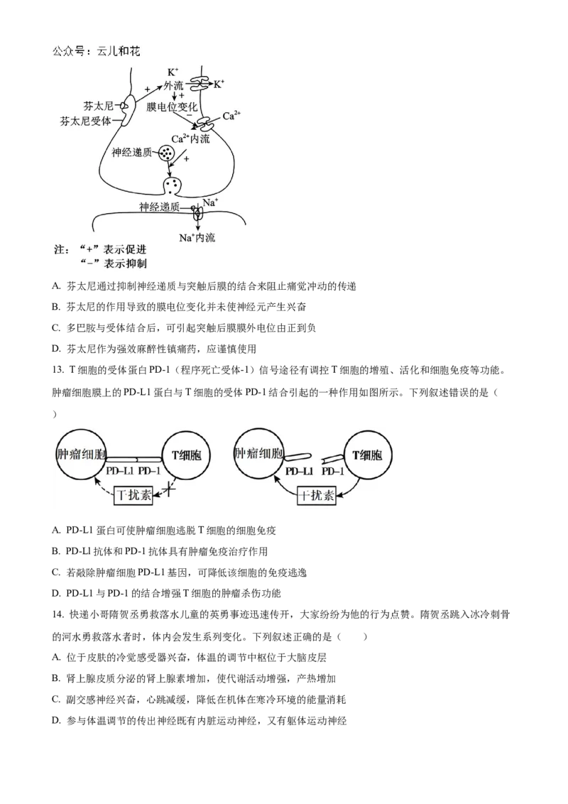福建省福州市9校2024-2025学年高二上学期11月期中生物试题Word版无答案_2024-2025高二（7-7月题库）_2024年12月试卷_1206福建省福州市福九联盟2024-2025学年高二上学期11月期中联考试题
