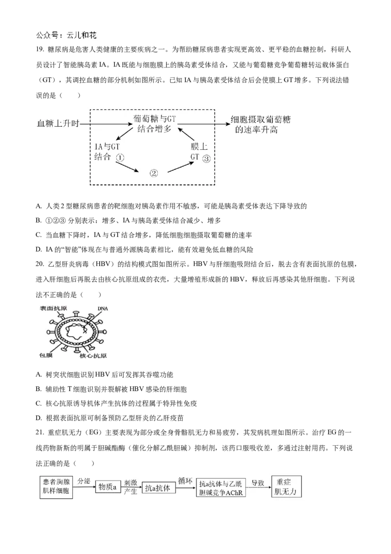 福建省福州市9校2024-2025学年高二上学期11月期中生物试题Word版无答案_2024-2025高二（7-7月题库）_2024年12月试卷_1206福建省福州市福九联盟2024-2025学年高二上学期11月期中联考试题