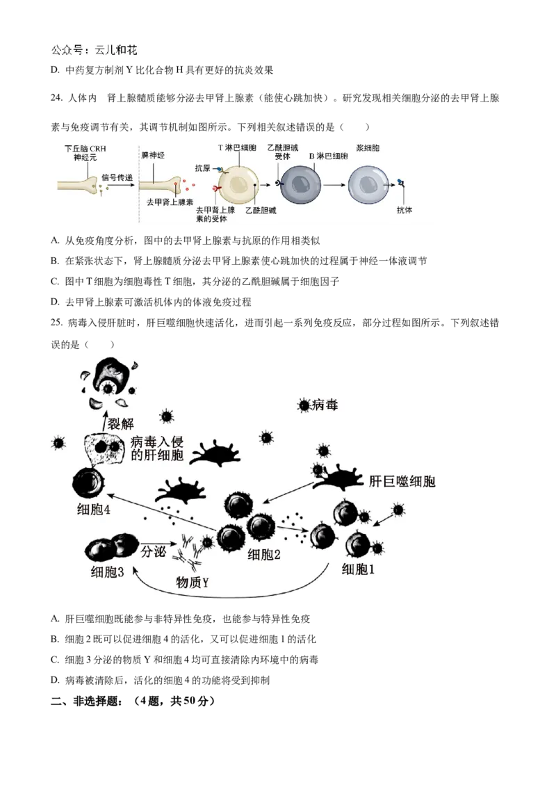 福建省福州市9校2024-2025学年高二上学期11月期中生物试题Word版无答案_2024-2025高二（7-7月题库）_2024年12月试卷_1206福建省福州市福九联盟2024-2025学年高二上学期11月期中联考试题