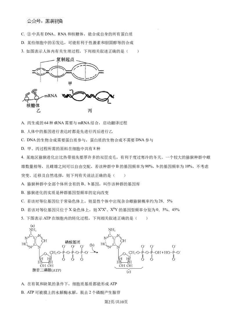 生物试卷（原卷版）_2024-2025高三（6-6月题库）_2024年08月试卷_0823湖南省湖南天壹名校联盟2025届高三8月入学联考考试_湖南省湖南天壹名校联盟2025届高三8月入学联考考试生物