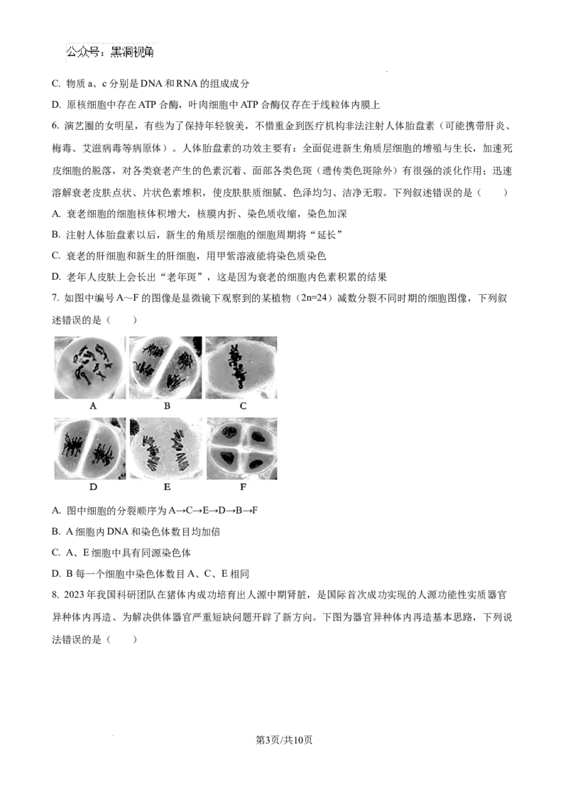 生物试卷（原卷版）_2024-2025高三（6-6月题库）_2024年08月试卷_0823湖南省湖南天壹名校联盟2025届高三8月入学联考考试_湖南省湖南天壹名校联盟2025届高三8月入学联考考试生物