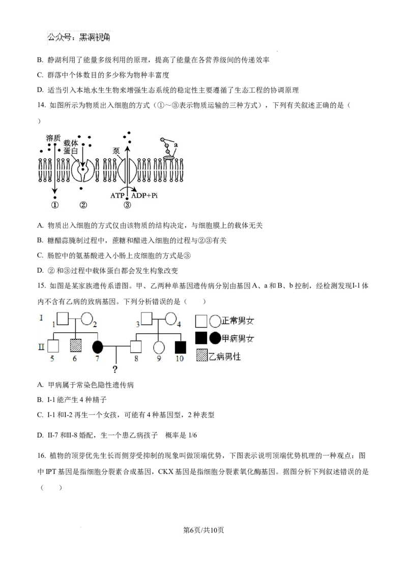 生物试卷（原卷版）_2024-2025高三（6-6月题库）_2024年08月试卷_0823湖南省湖南天壹名校联盟2025届高三8月入学联考考试_湖南省湖南天壹名校联盟2025届高三8月入学联考考试生物