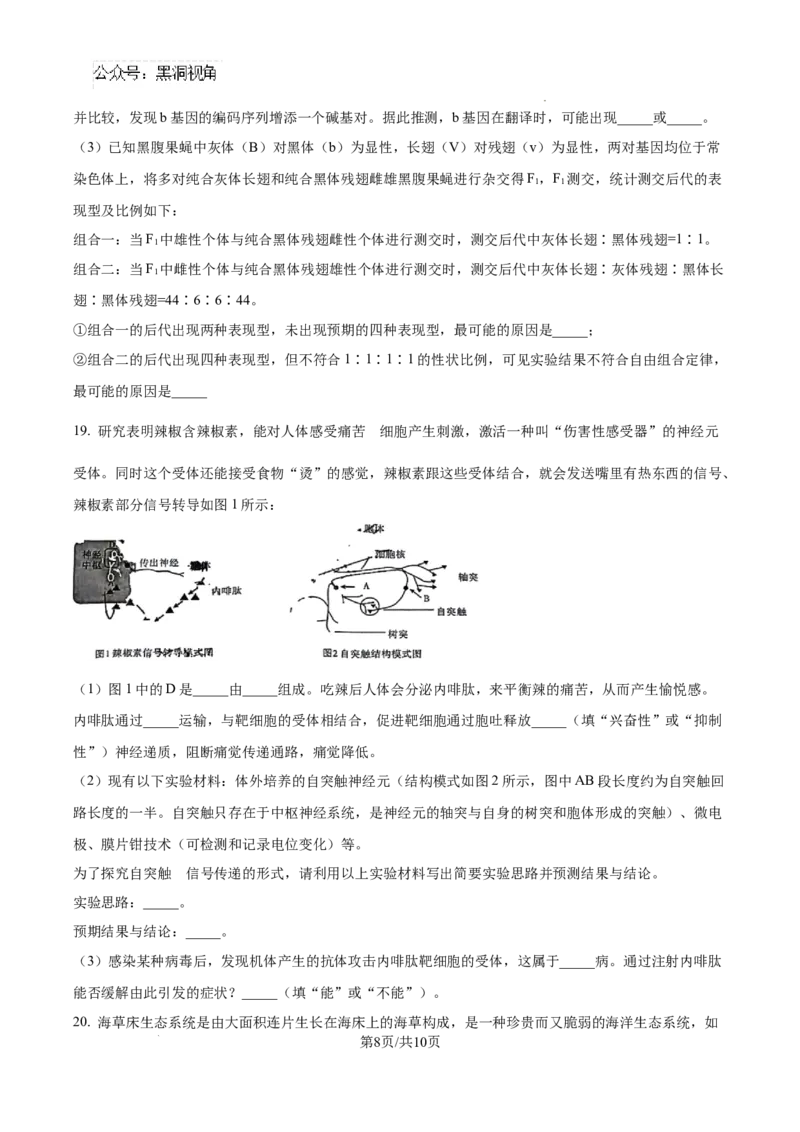 生物试卷（原卷版）_2024-2025高三（6-6月题库）_2024年08月试卷_0823湖南省湖南天壹名校联盟2025届高三8月入学联考考试_湖南省湖南天壹名校联盟2025届高三8月入学联考考试生物