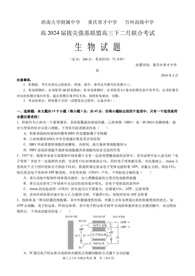高2024届拔尖强基联盟高三二月联合考试生物试题（定稿）_2024年2月_022月合集_2024届重庆市拔尖强基联盟（重庆育才中学、西南大学附属中学、重庆万州中学）高三下学期2月联合考试