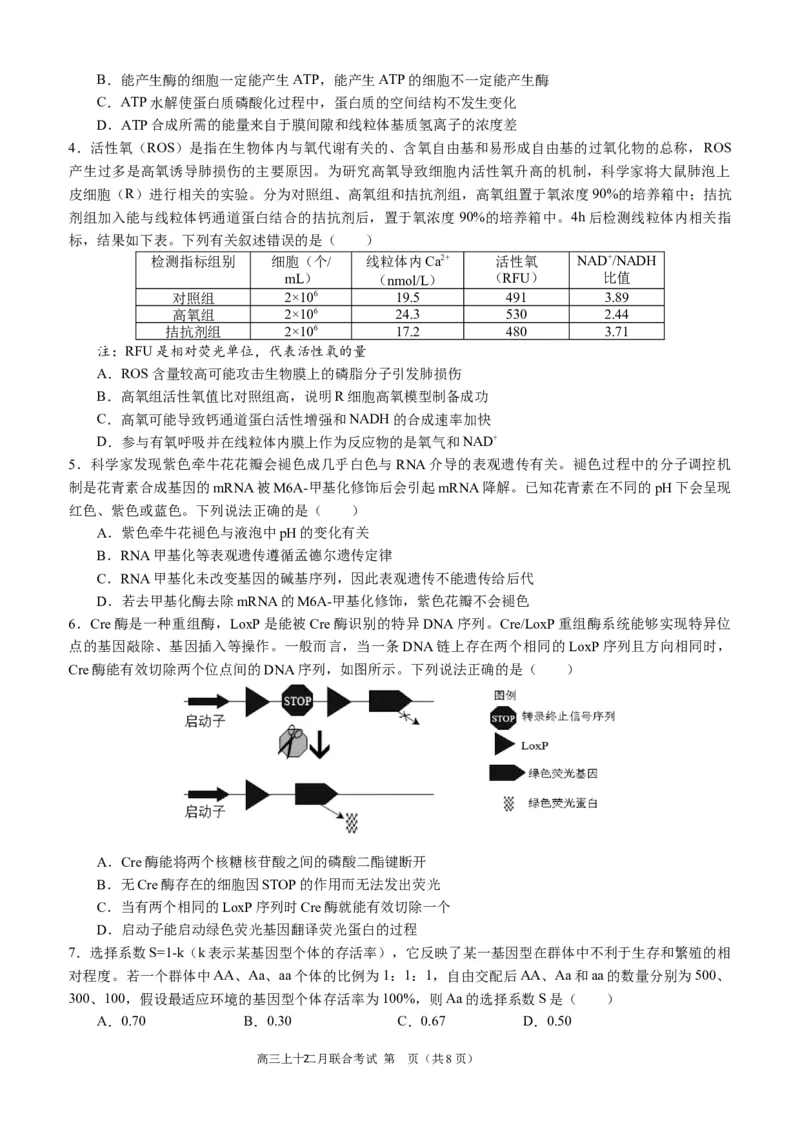 高2024届拔尖强基联盟高三二月联合考试生物试题（定稿）_2024年2月_022月合集_2024届重庆市拔尖强基联盟（重庆育才中学、西南大学附属中学、重庆万州中学）高三下学期2月联合考试