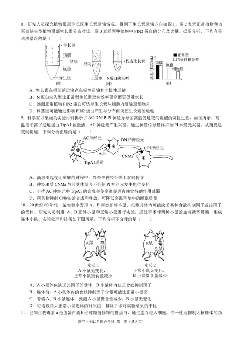 高2024届拔尖强基联盟高三二月联合考试生物试题（定稿）_2024年2月_022月合集_2024届重庆市拔尖强基联盟（重庆育才中学、西南大学附属中学、重庆万州中学）高三下学期2月联合考试