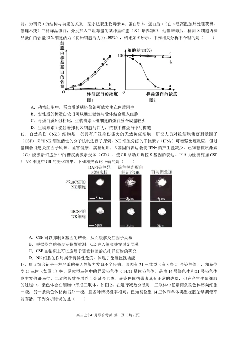 高2024届拔尖强基联盟高三二月联合考试生物试题（定稿）_2024年2月_022月合集_2024届重庆市拔尖强基联盟（重庆育才中学、西南大学附属中学、重庆万州中学）高三下学期2月联合考试