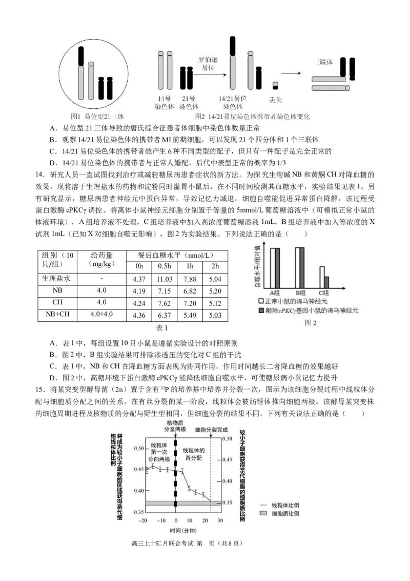 高2024届拔尖强基联盟高三二月联合考试生物试题（定稿）_2024年2月_022月合集_2024届重庆市拔尖强基联盟（重庆育才中学、西南大学附属中学、重庆万州中学）高三下学期2月联合考试
