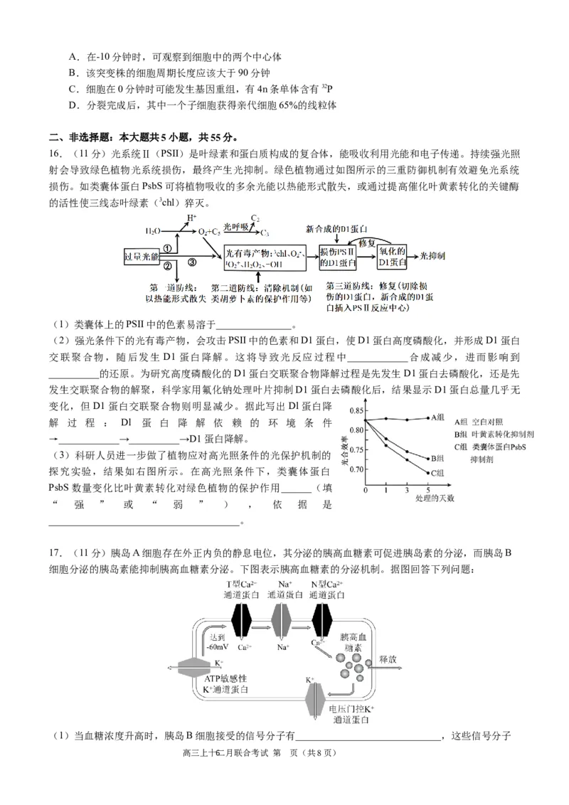 高2024届拔尖强基联盟高三二月联合考试生物试题（定稿）_2024年2月_022月合集_2024届重庆市拔尖强基联盟（重庆育才中学、西南大学附属中学、重庆万州中学）高三下学期2月联合考试