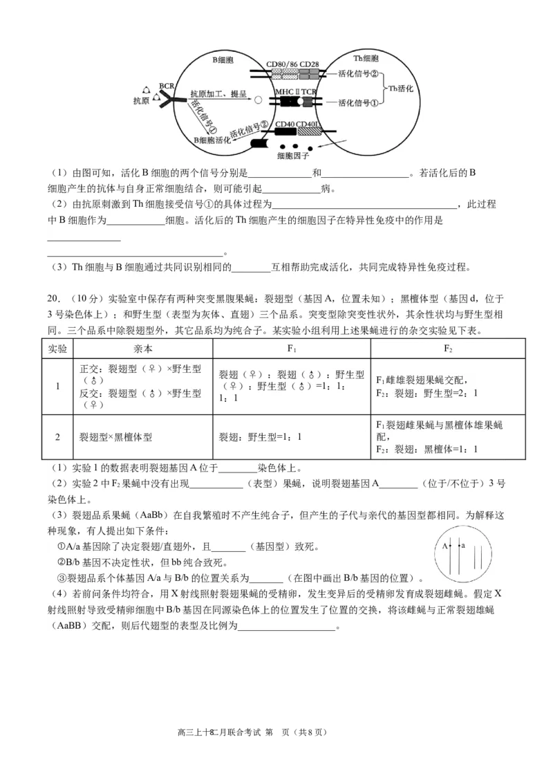 高2024届拔尖强基联盟高三二月联合考试生物试题（定稿）_2024年2月_022月合集_2024届重庆市拔尖强基联盟（重庆育才中学、西南大学附属中学、重庆万州中学）高三下学期2月联合考试