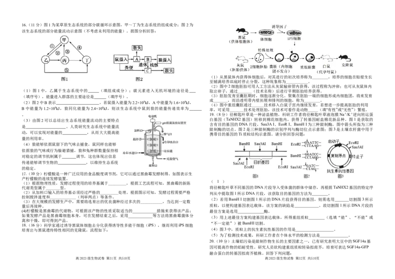 高2023级生物试卷第二次月考_2025年05月试卷_0526四川省南充市高级中学2024-2025学年高二下学期5月月考试题_四川省南充市高级中学2024-2025学年高二下学期5月月考试题生物Word版含答案