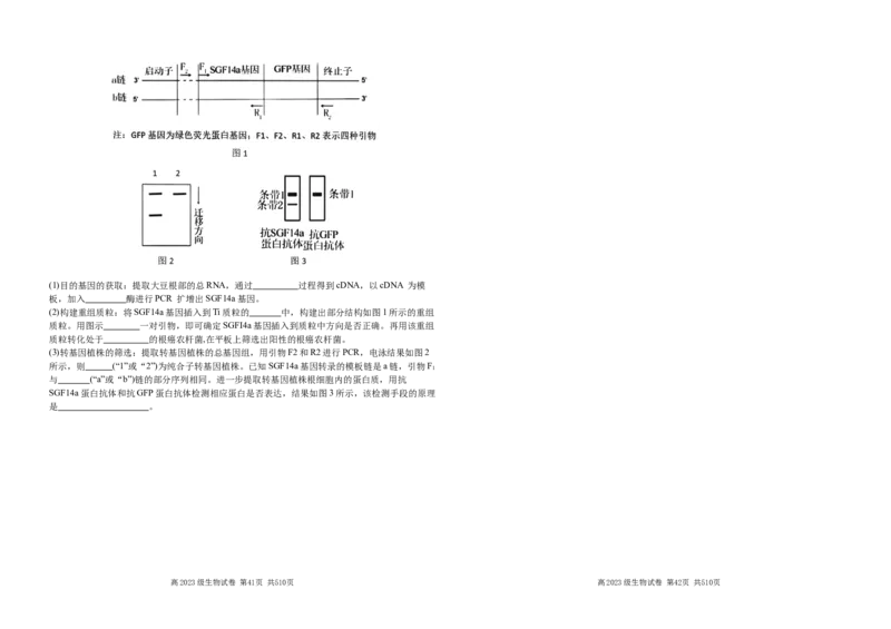 高2023级生物试卷第二次月考_2025年05月试卷_0526四川省南充市高级中学2024-2025学年高二下学期5月月考试题_四川省南充市高级中学2024-2025学年高二下学期5月月考试题生物Word版含答案