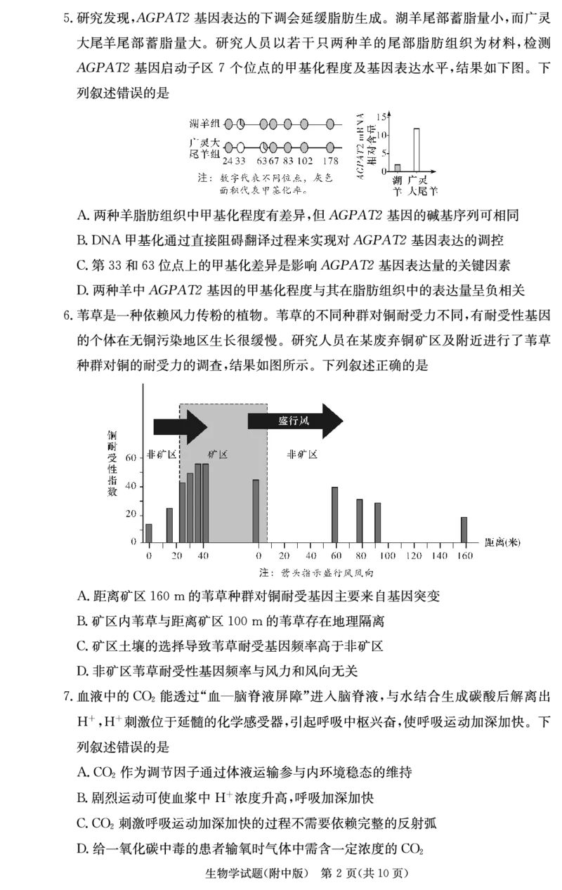 湖南师范大学附属中学2024-2025学年高三上学期月考卷（三）生物（附中高三3次）_2024-2025高三（6-6月题库）_2024年11月试卷_11142025届湖南师大附中高三上学期月考卷（三）（全科）
