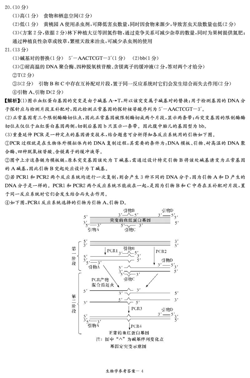 生物答案（湘东十校10月联考）_2024-2025高三（6-6月题库）_2024年10月试卷_1030（炎德英才名校联合体第三次联考）2025届湖南省湘东十校高三上学期10月联考