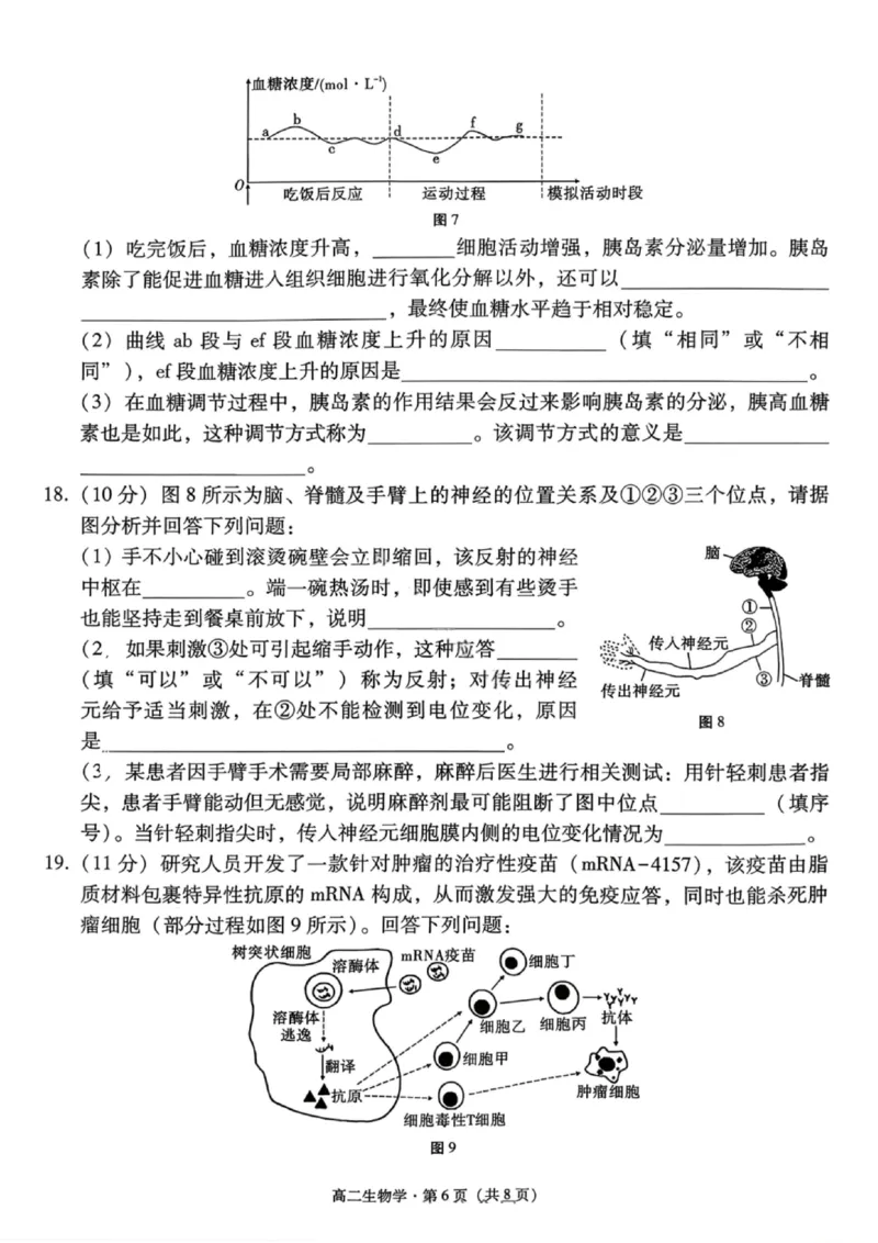 生物试卷-贵阳市第一中学2027届高二上学期12月月考_251229贵阳市第一中学2027届高二上学期12月月考
