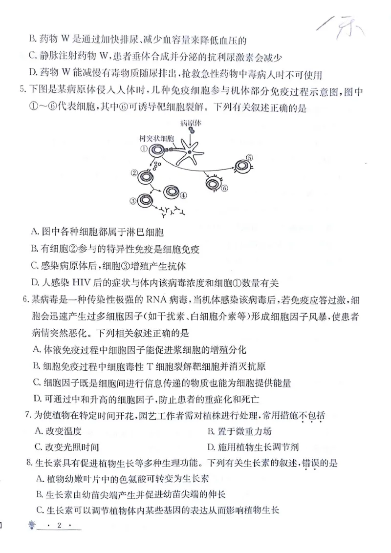 甘肃省白银市靖远县第一中学2024-2025学年高二上学期12月期末模拟生物试卷（图片版，含答案）_2024-2025高二（7-7月题库）_2024年12月试卷