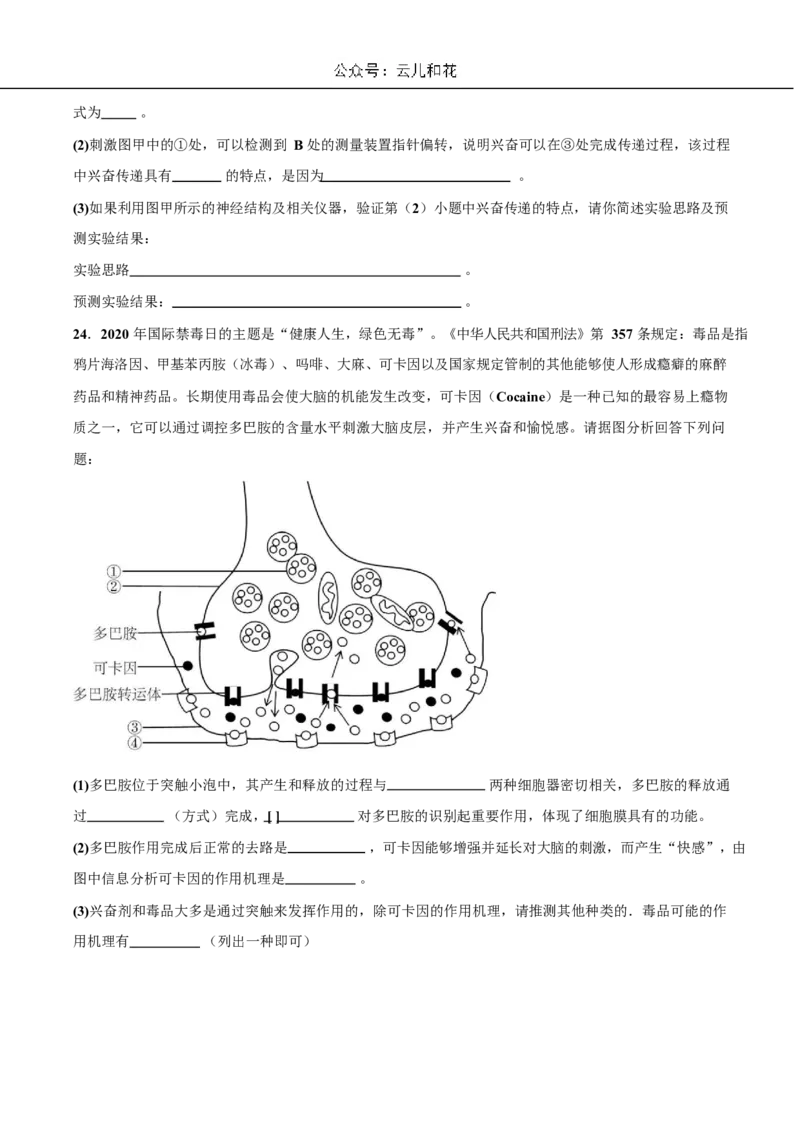生物试题_2024-2025高二（7-7月题库）_2024年11月试卷_1107四川省成都外国语学校2024-2025学年高二上学期10月月考