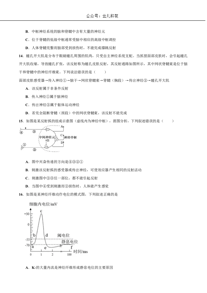生物试题_2024-2025高二（7-7月题库）_2024年11月试卷_1107四川省成都外国语学校2024-2025学年高二上学期10月月考