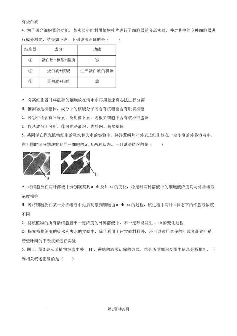 精品解析：四川省成都市蓉城名校2024-2025学年高三上学期入学考试生物试题（原卷版）_2024-2025高三（6-6月题库）_2024年09月试卷