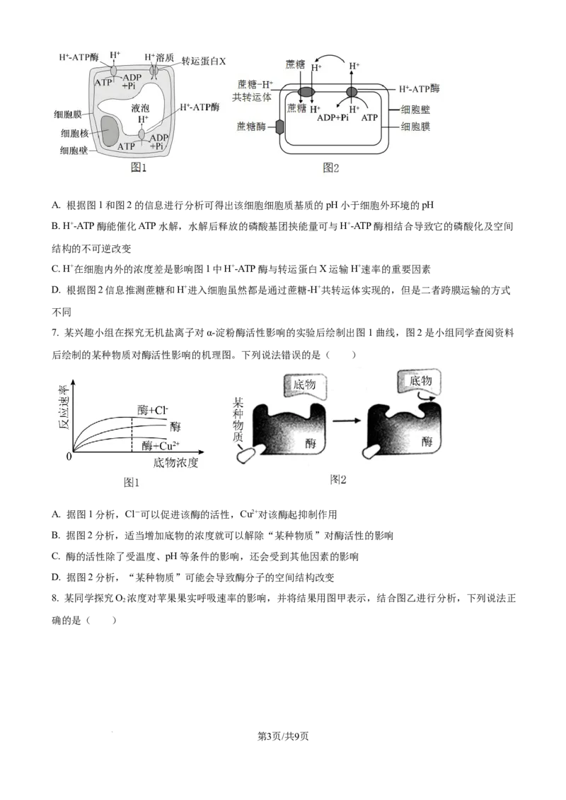 精品解析：四川省成都市蓉城名校2024-2025学年高三上学期入学考试生物试题（原卷版）_2024-2025高三（6-6月题库）_2024年09月试卷
