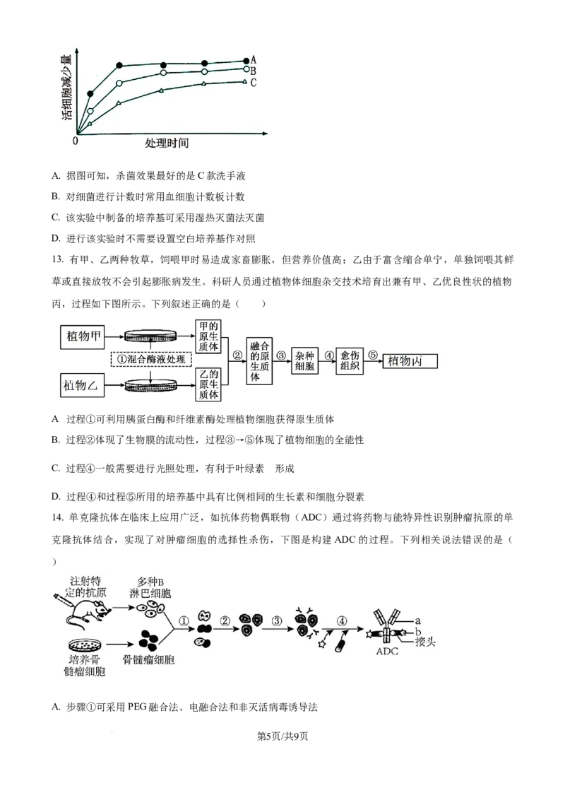 精品解析：四川省成都市蓉城名校2024-2025学年高三上学期入学考试生物试题（原卷版）_2024-2025高三（6-6月题库）_2024年09月试卷