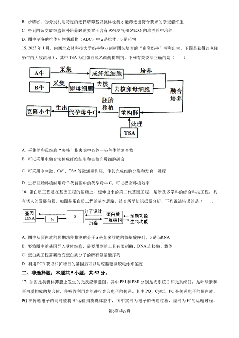 精品解析：四川省成都市蓉城名校2024-2025学年高三上学期入学考试生物试题（原卷版）_2024-2025高三（6-6月题库）_2024年09月试卷