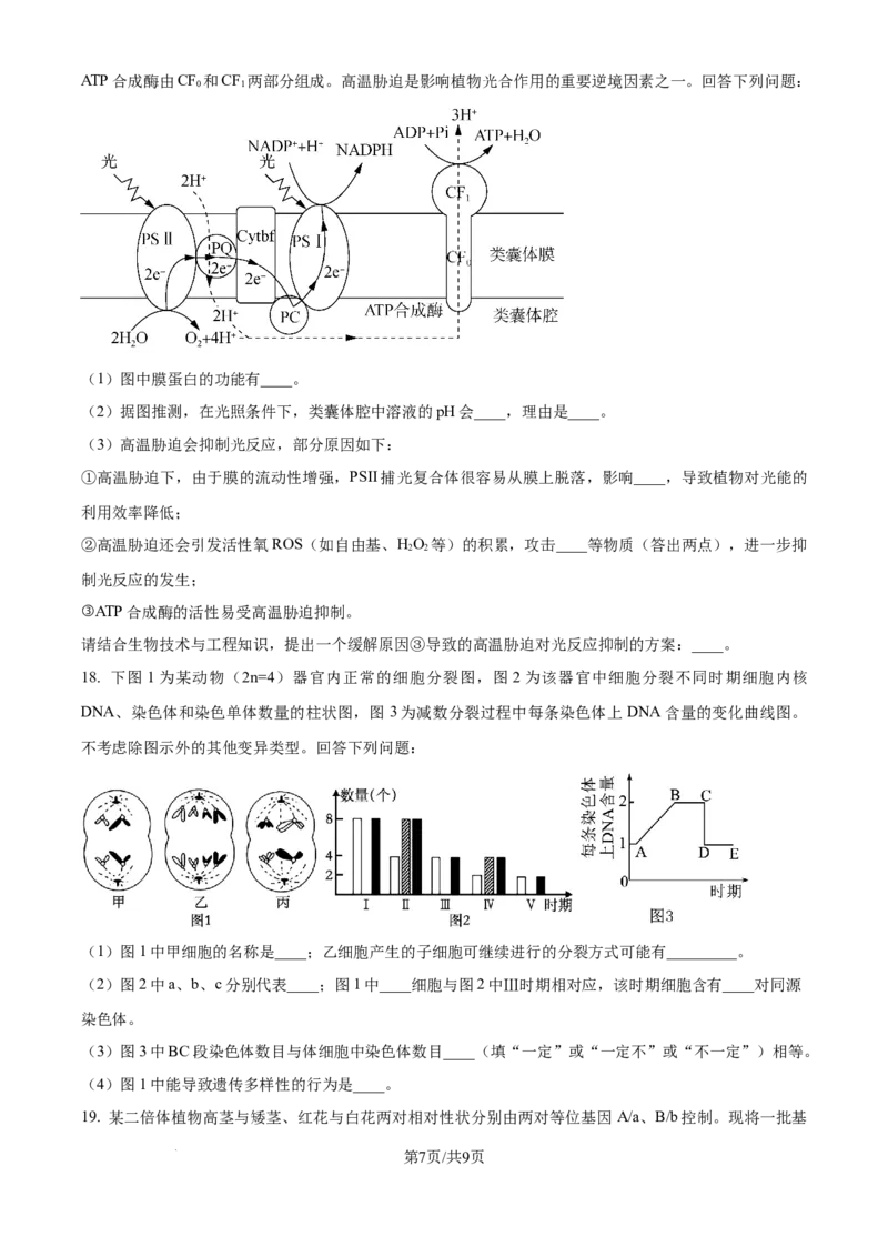 精品解析：四川省成都市蓉城名校2024-2025学年高三上学期入学考试生物试题（原卷版）_2024-2025高三（6-6月题库）_2024年09月试卷